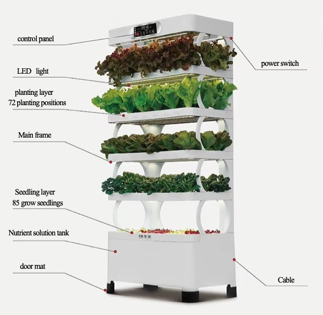수경재배 자동화 시스템 지능형 수경재배 시스템 LED  - Home Automation Systems Diy 리뷰 및 가격